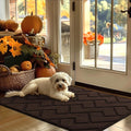 hicorfe Indoor Door Mat,Non Slip Door Mats,32"x48" Front Back Door Mat Rubber Backing,Absorbent