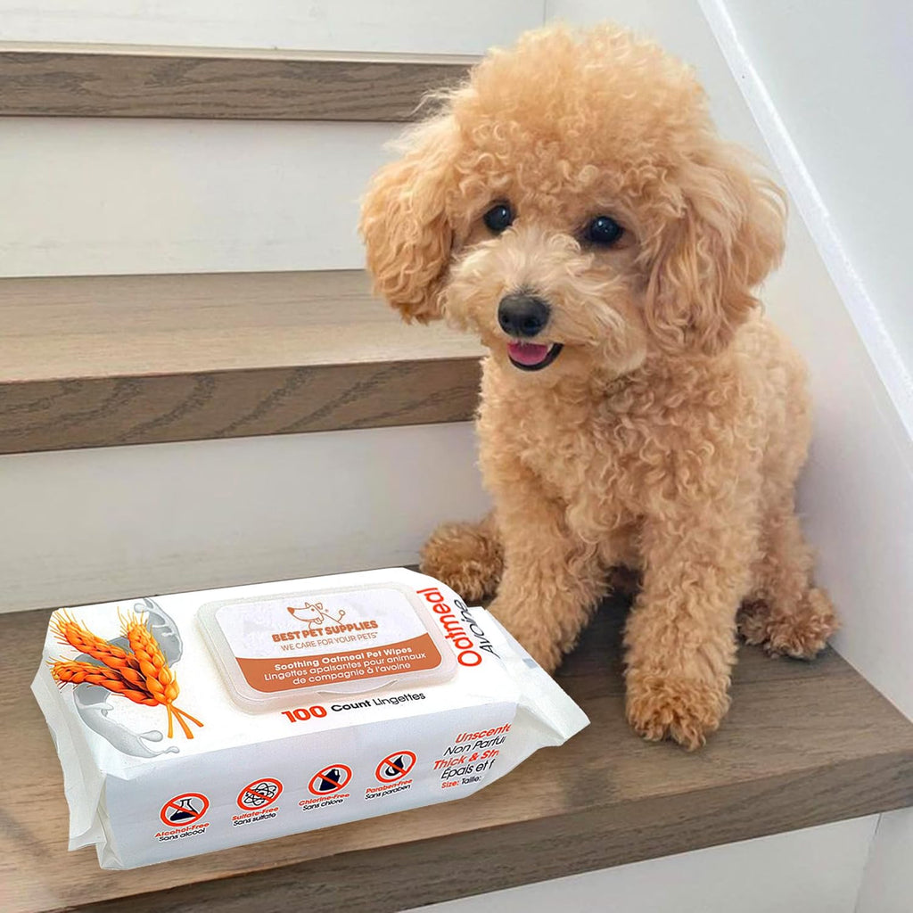 Best Pet Supplies Pet Grooming Wipes for Dogs & Cats,Deodorizer for Coats & Dry, Itchy, or