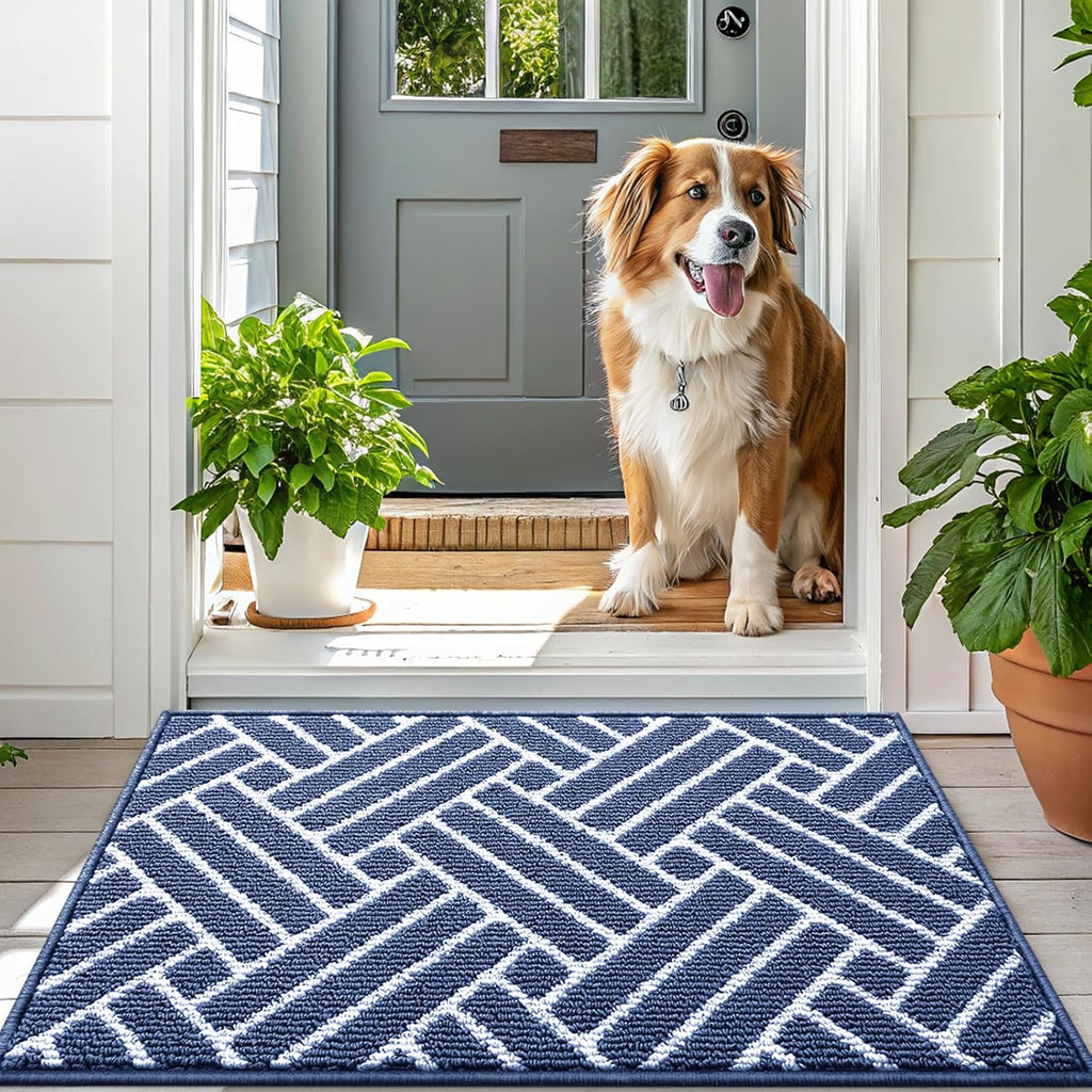 OLANLY Indoor Door Mat, 32x20 Inch, Dirt Resistant and Absorbent, Non-Slip Rubber Backing Floor