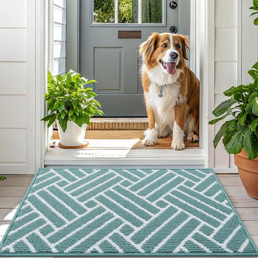 OLANLY Indoor Door Mat, 36x24 Inch, Dirt Resistant and Absorbent, Non-Slip Rubber Backing Floor