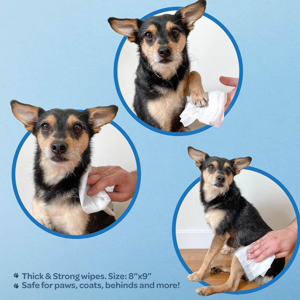 Best Pet Supplies Pet Grooming Wipes for Dogs & Cats,Deodorizer for Coats & Dry, Itchy, or