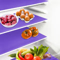 10Pcs Refrigerator Liners, Washable Fridge Liner Shelf Mats Refrigerator Pads for Cupboard Cabinet