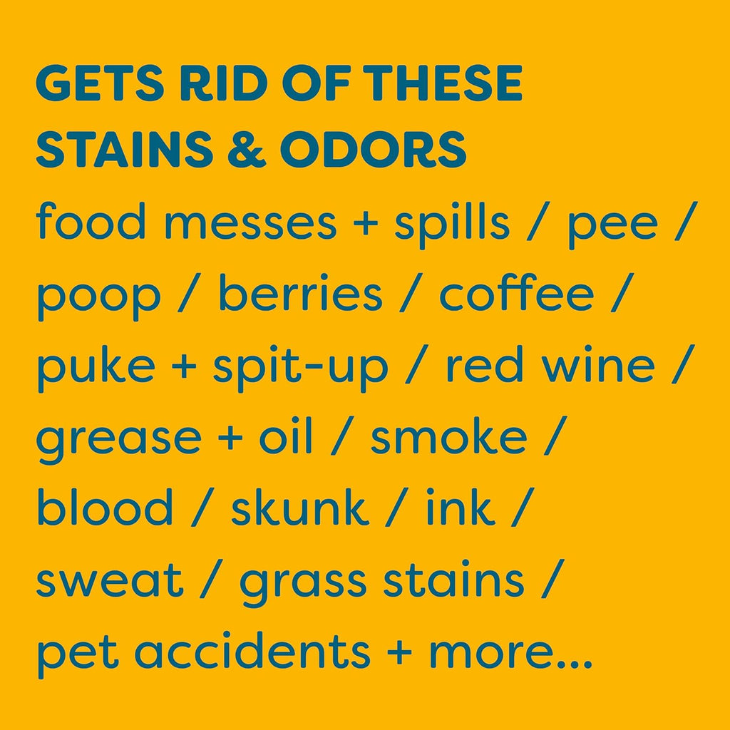 KIDS 'N' PETS Instant All-Purpose Stain & Odor Remover Permanently Eliminates Dog Pee, Cat Urine