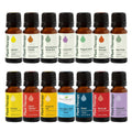 Plant Therapy 7 & 7 Essential Oils Set 7 Single Oils: Lavender, Peppermint & More, 7 Synergy Blends