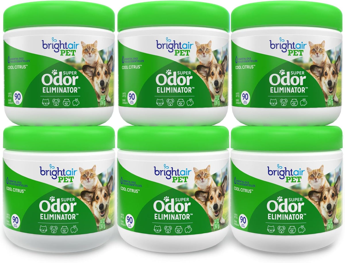 Bright Air 14 oz. Super Odor Eliminator, for Medium-Size Spaces, Cool Citrus Scent, Case of 6, Air