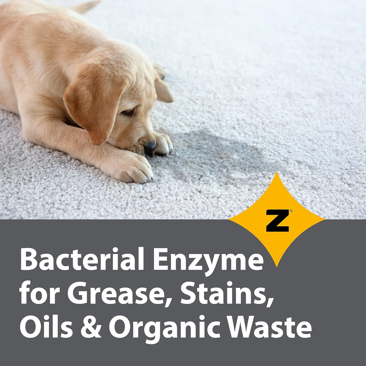 Pro-Grade Multi-Purpose Probiotic Enzyme Cleaner - Powerful Cleaning & Odor Eliminating Formula For