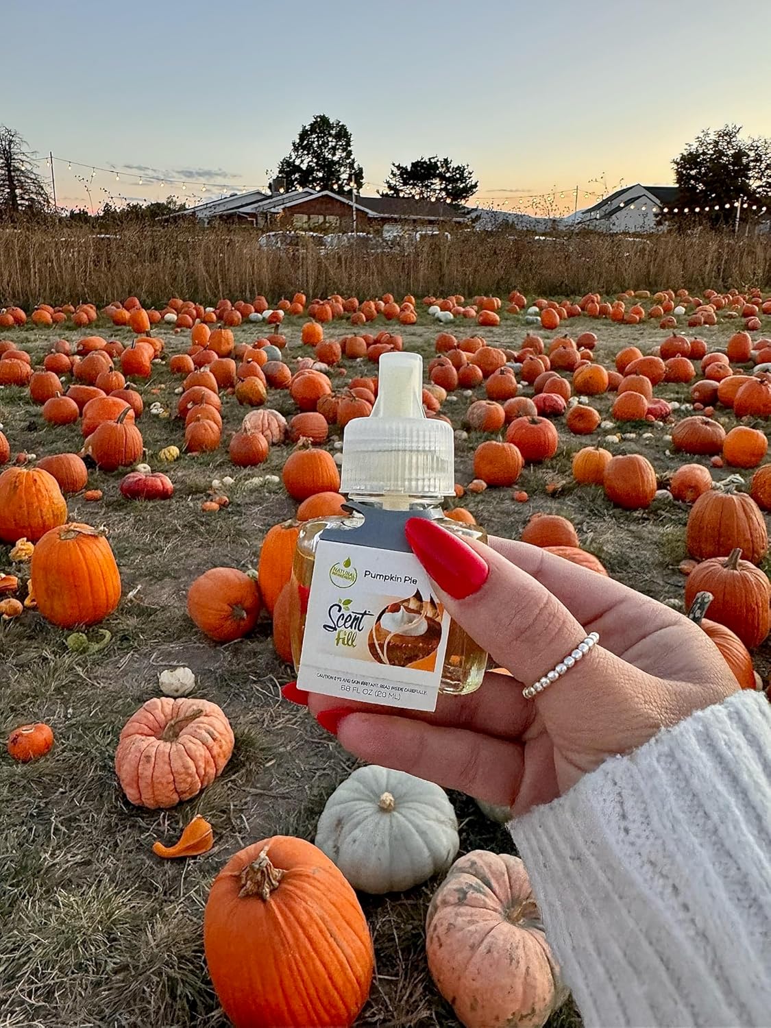 Scent Fill Pumpkin Pie Plug in Air Freshener, Scented Oil Refills, 2 Refills + Diffuser