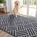 OLANLY Indoor Door Mat, 48x32 Inch, Dirt Resistant and Absorbent, Non-Slip Rubber Backing Floor