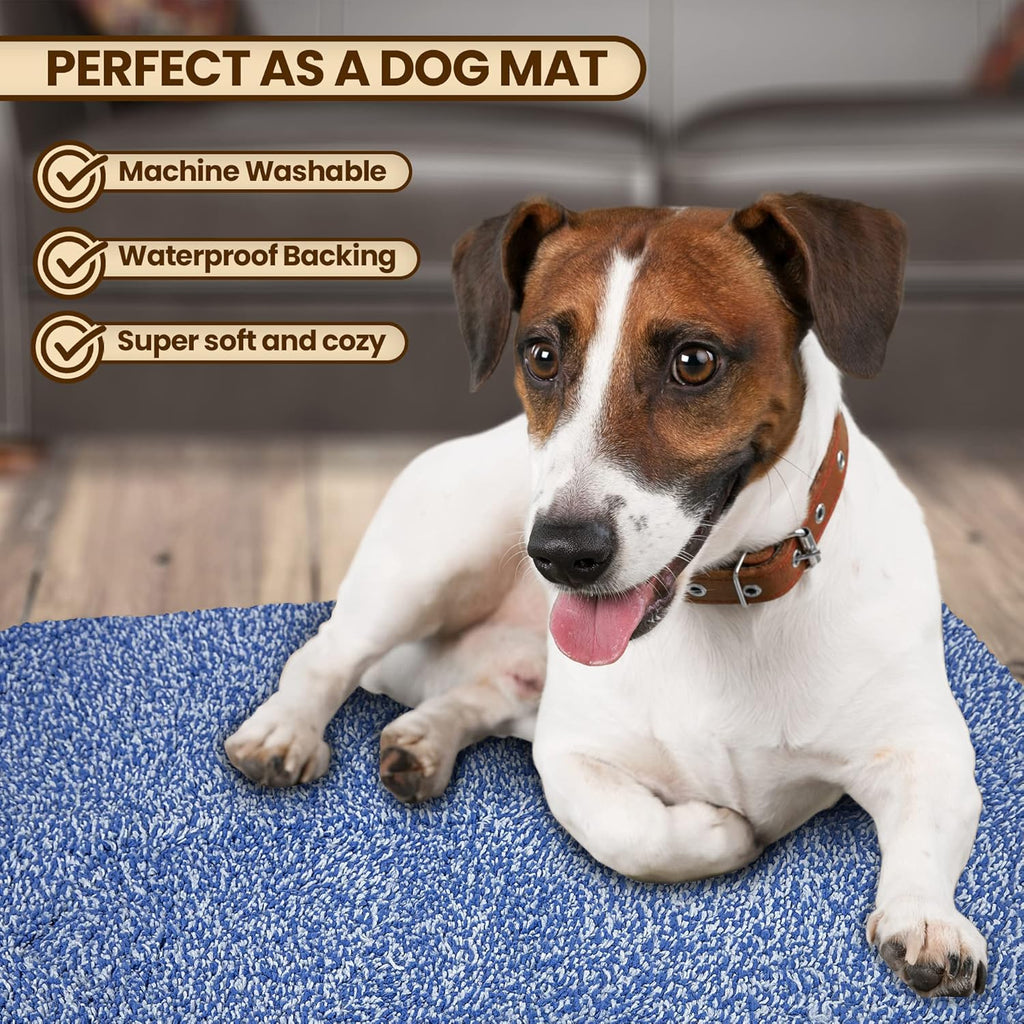 Premium Microfiber Indoor Door Mat – 36"x60" Washable Entry Mat, Non-Slip, Waterproof Backing
