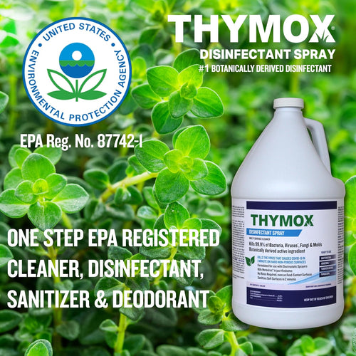 1 Gallon Botanical Disinfectant - All Natural Cleaner Mold Remover, Multipurpose Cleaner, Mold