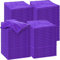 Nuenen Microfiber Cleaning Cloths for Cars 16 x 16 Inch Ultra Absorbent Car Towels Drying Reusable