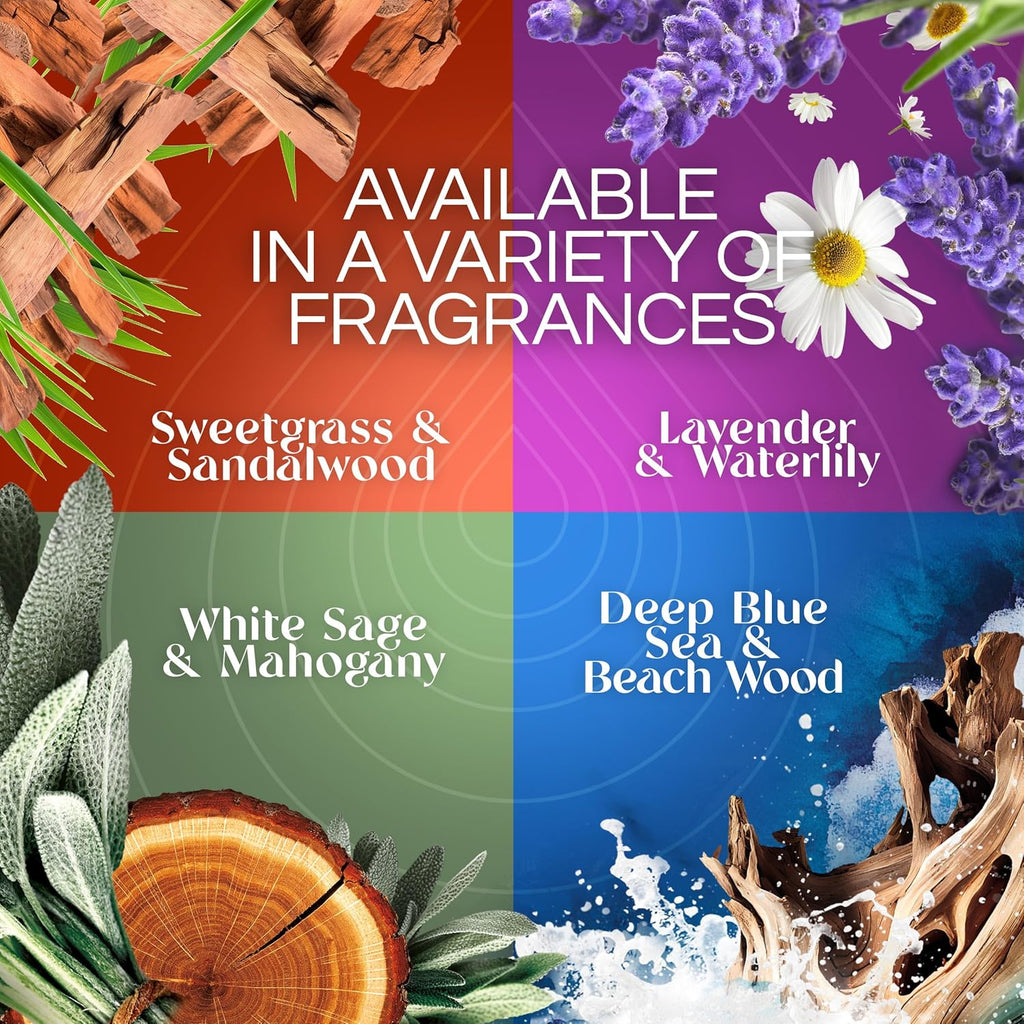 Air Wick Plug In Advanced Scented Oils Refills, Apple + Cinnamon, Fall Decorations for Home,Plug In