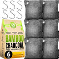 Charcoal Odor Absorber for Strong Odor (6 Pack, 100g each), Bamboo Charcoal Air Purifying Bag